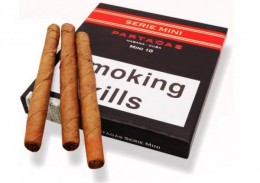poza Tigari de foi Partagas Serie Mini 10